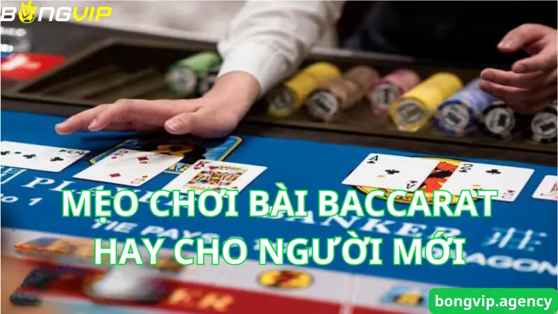 Mẹo chơi bài Baccarat siêu hay cho người mới tại Bongvip